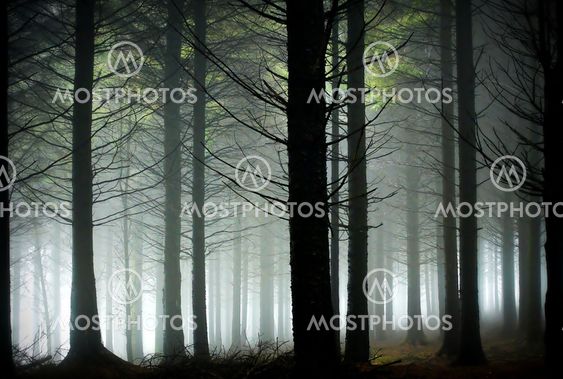 This is a picture from trøndelag