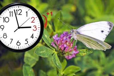 Daylight Saving Time. DST. Wall Clock going to winter...