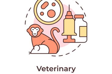 Veterinary multi color concept icon