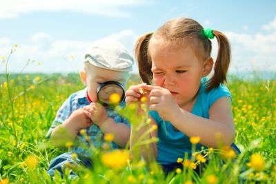 Children are playing on green meadow