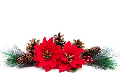  Christmas Decoration 