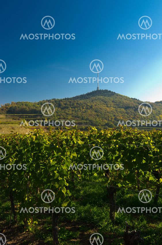 Kaiserstuhl