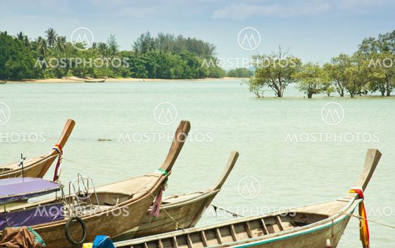 Local fishing boats.