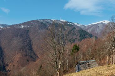 Early spring Carpathian mountains
