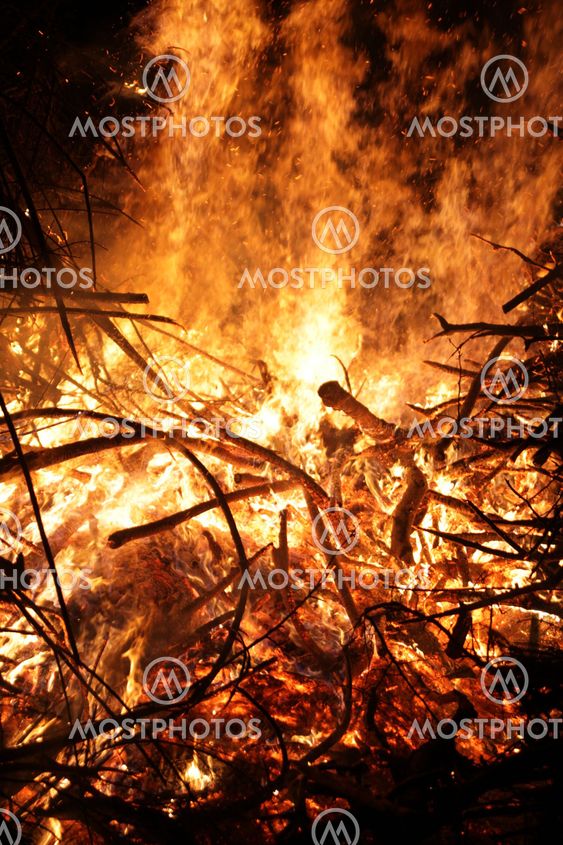 campfire in the forest