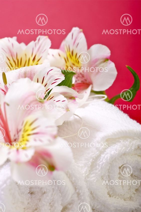 Flowers and Towels