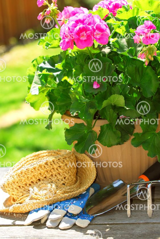 Gardening tools