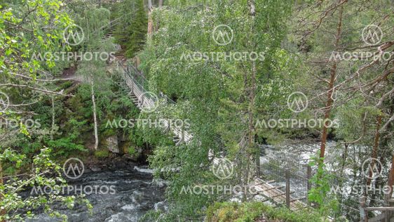Hanging bridge