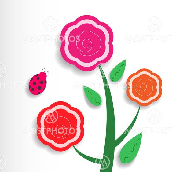 Three flowers