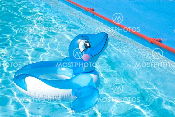Floating delphin