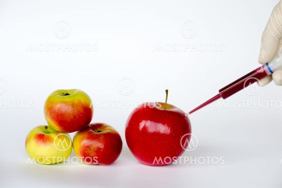 Making bigger apples