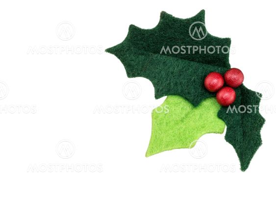 Christmas holly with with red berries isolated on a white background as a winter holiday symbol and seasonal decoration.