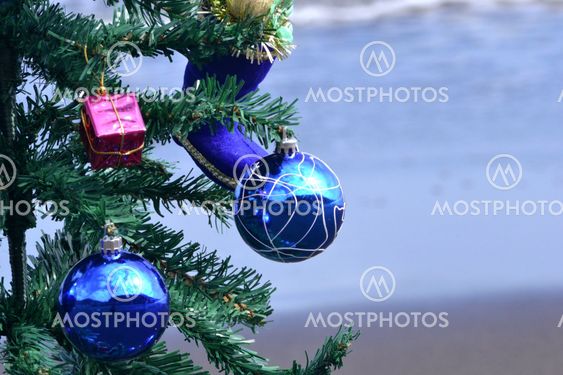 Christmas tree on beach