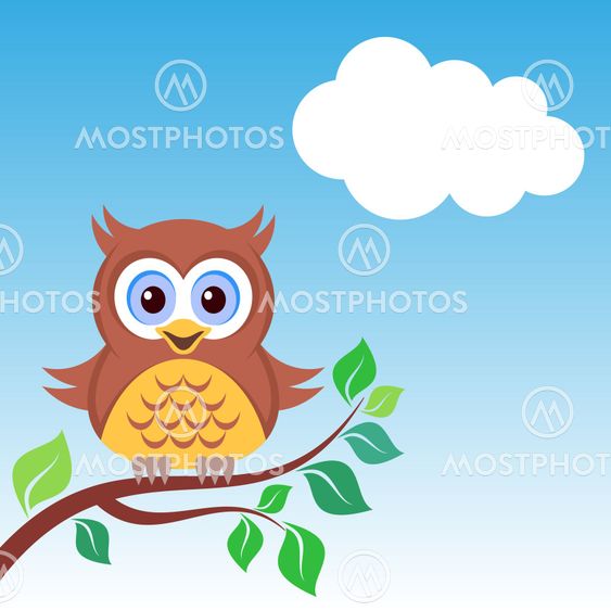Owl on the branch