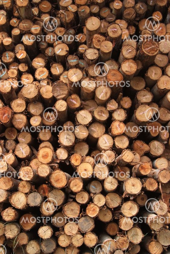 A pile of wood.