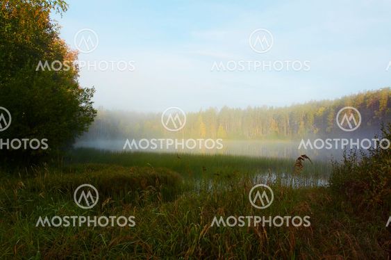 Morning mist