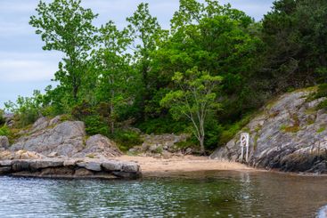 small rocky beach surrounded by greenery.