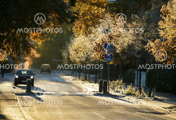 Autumn morning sunshine