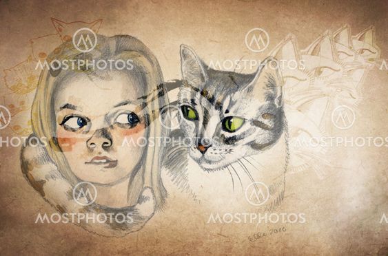 The Mystery of a Cat