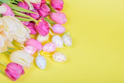 Easter multicolored tulips and eggs