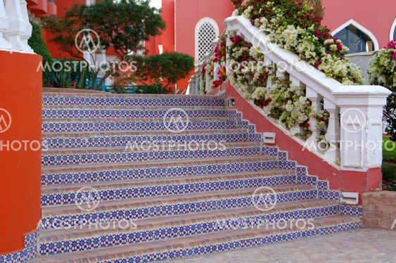 Stairs and bougainvillea