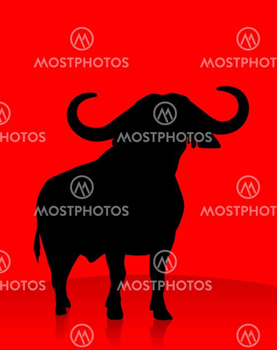 Bull on red Bakcground