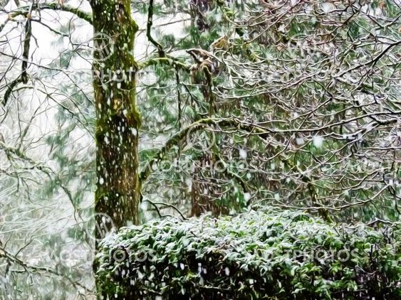 Snowfall in the Woods 02