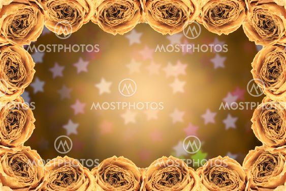 dry white rose frame on blur star bokeh