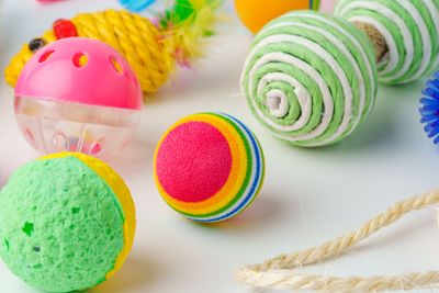 Cat toys isolated on white background studio shot