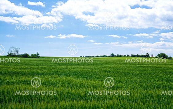 Skåne sommar