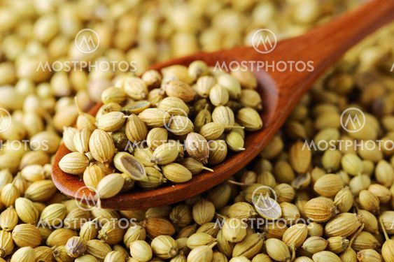 Coriander seeds