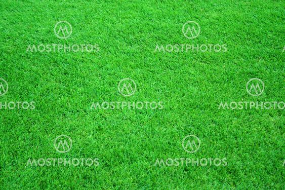 Football field