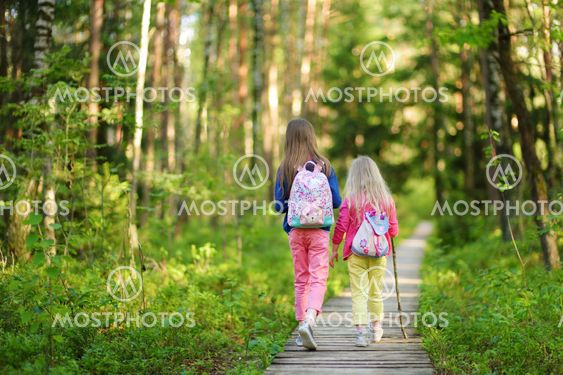 Two cute little sisters having fun during forest hike on...