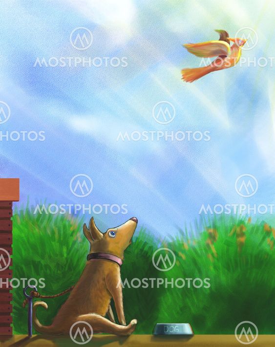 A tethered dog, sitting before a bowl of food