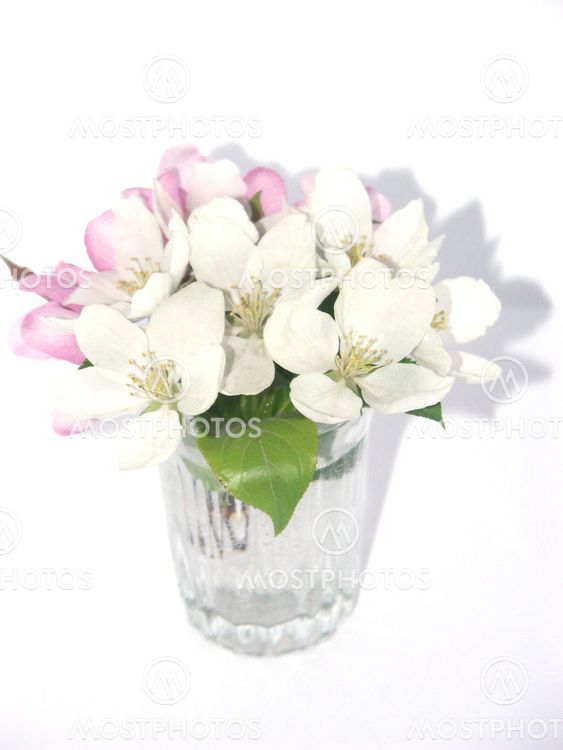bouquet from the flowers of rennet
