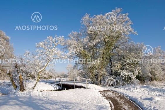 snow