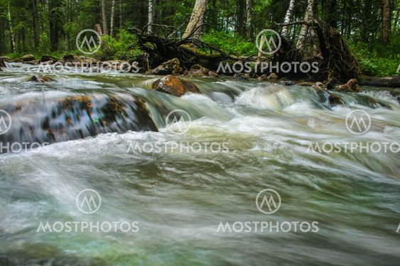 river in wood