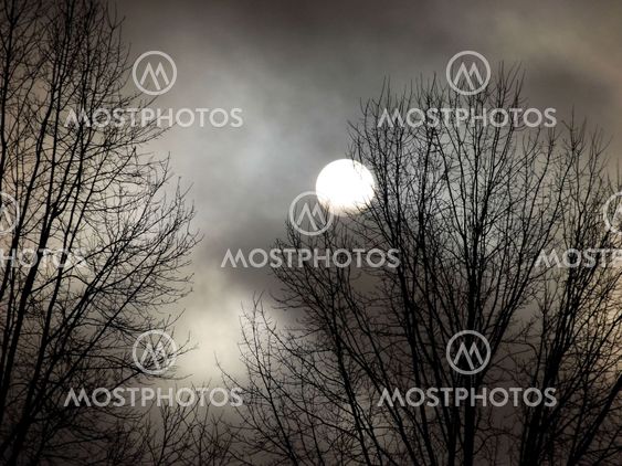 Sun like a Moon