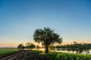 Early summer morning on a large lake surrounded by...