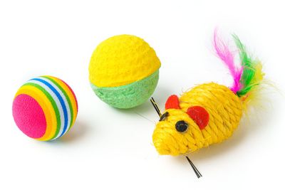 Cat toys isolated on white background studio shot