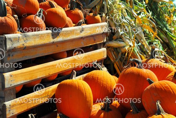 Pumpkins