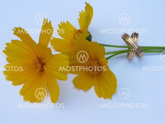 Yellow bouquet and wedding rings