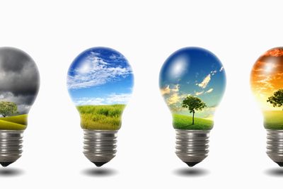 light bulb with nature