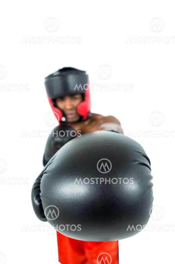 Boxer performing upright stance