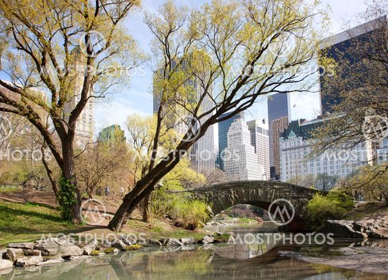 Central Park, New York.