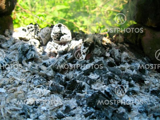 Bonfire and the coals after burning fire