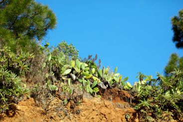 Mountain, trail and outdoor with plants, sky and nature...