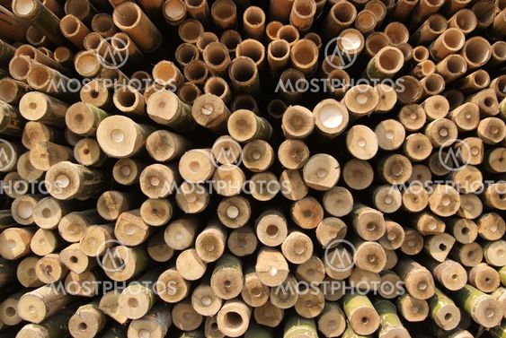 A pile of wood.