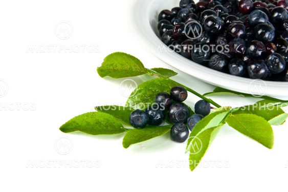 bilberry