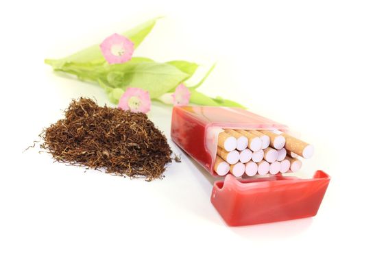 Tobacco with cigarettes case and leafs